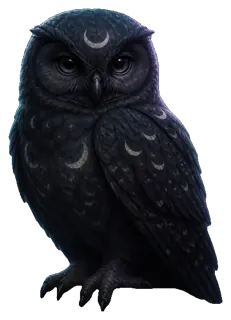 Sable, Dusk Owl