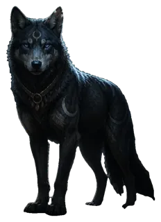 Nightpaw, Moon Wolf